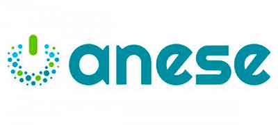 logo-anese